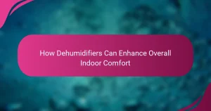 How Dehumidifiers Can Enhance Overall Indoor Comfort