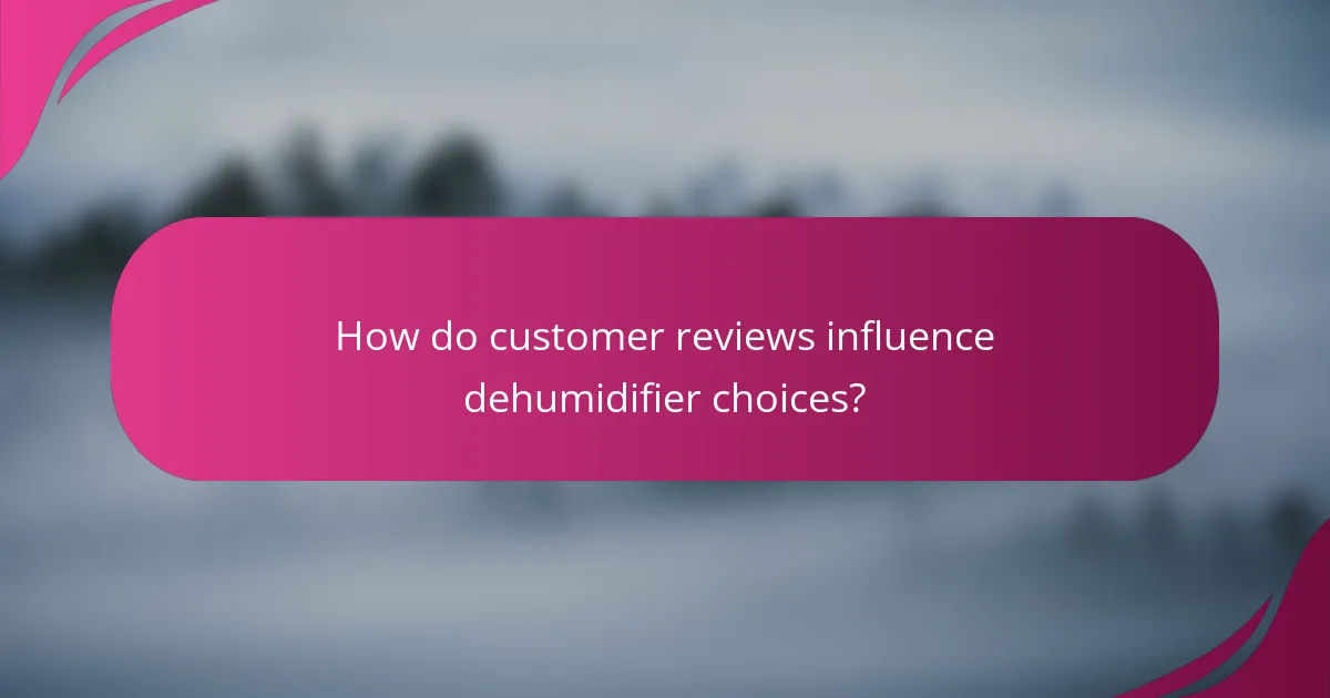How do customer reviews influence dehumidifier choices?