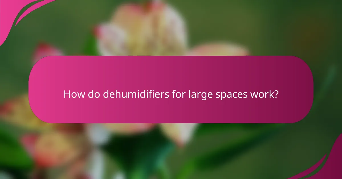 How do dehumidifiers for large spaces work?