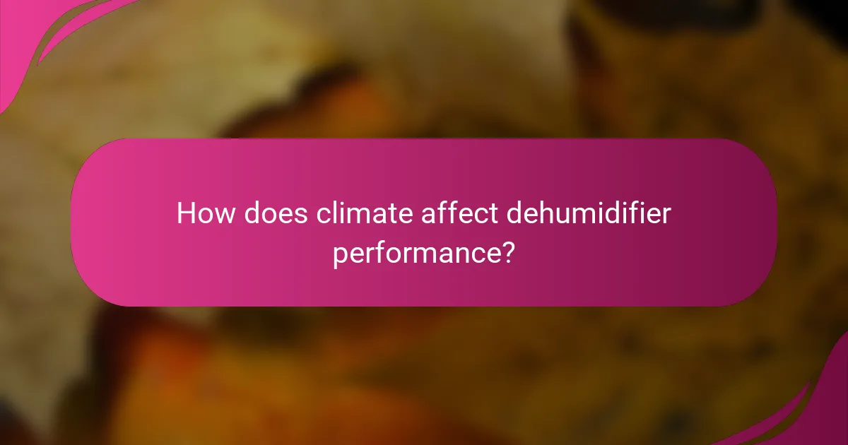 How does climate affect dehumidifier performance?