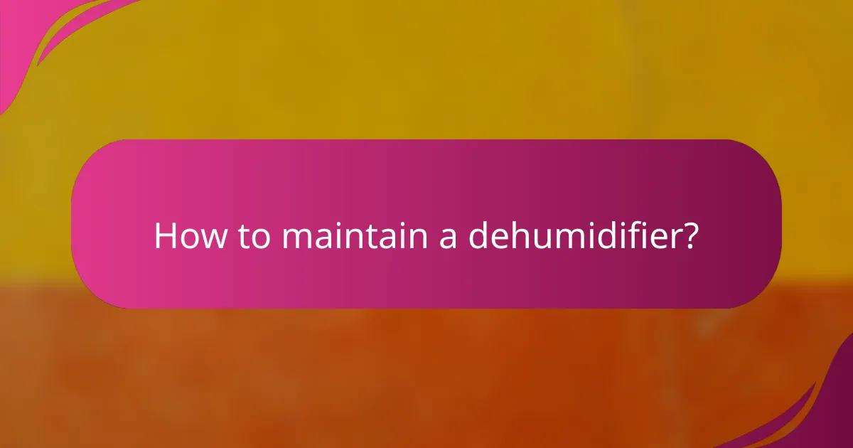 How to maintain a dehumidifier?