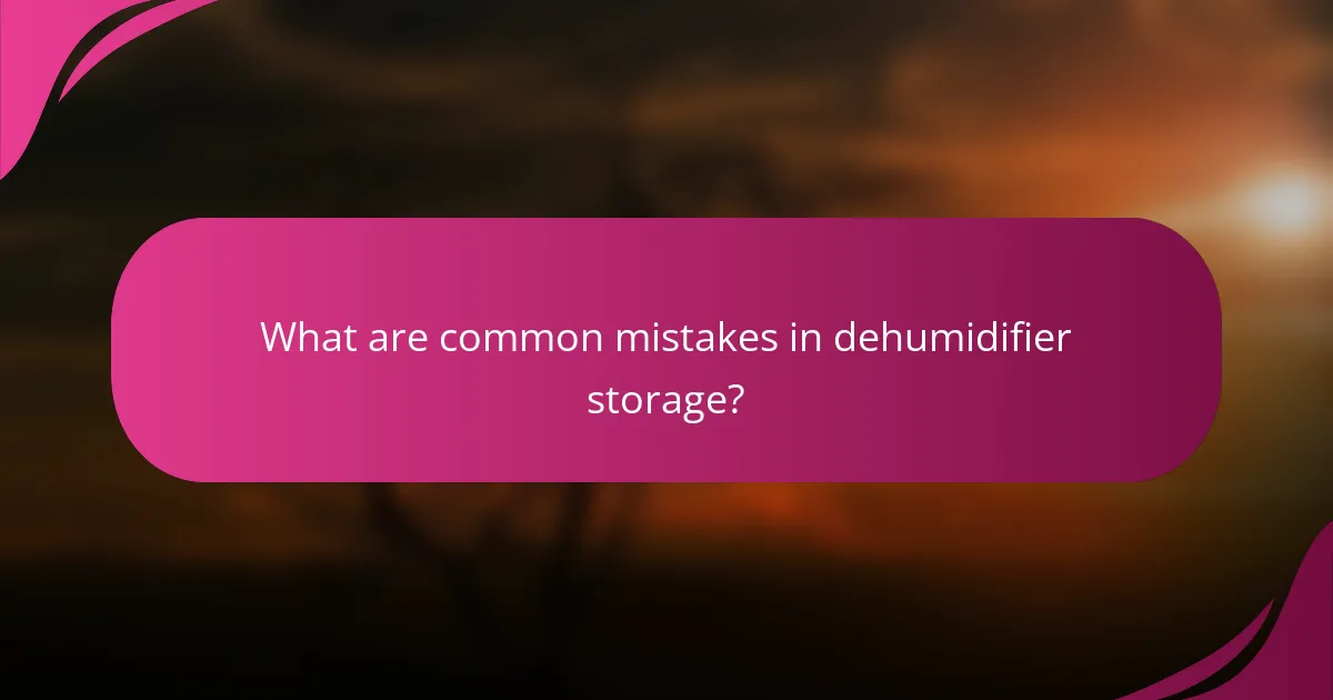 What are common mistakes in dehumidifier storage?