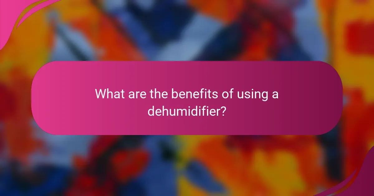 What are the benefits of using a dehumidifier?