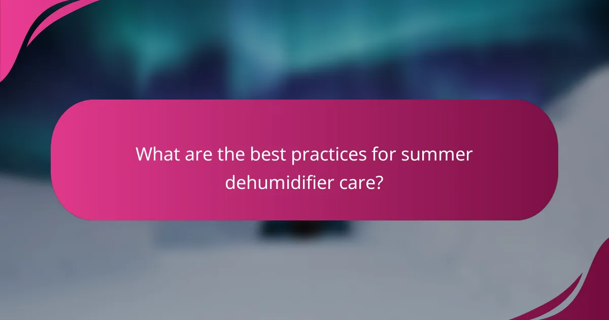 What are the best practices for summer dehumidifier care?