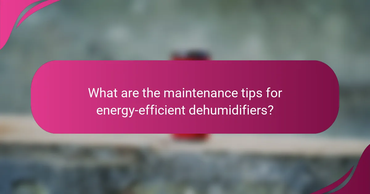 What are the maintenance tips for energy-efficient dehumidifiers?
