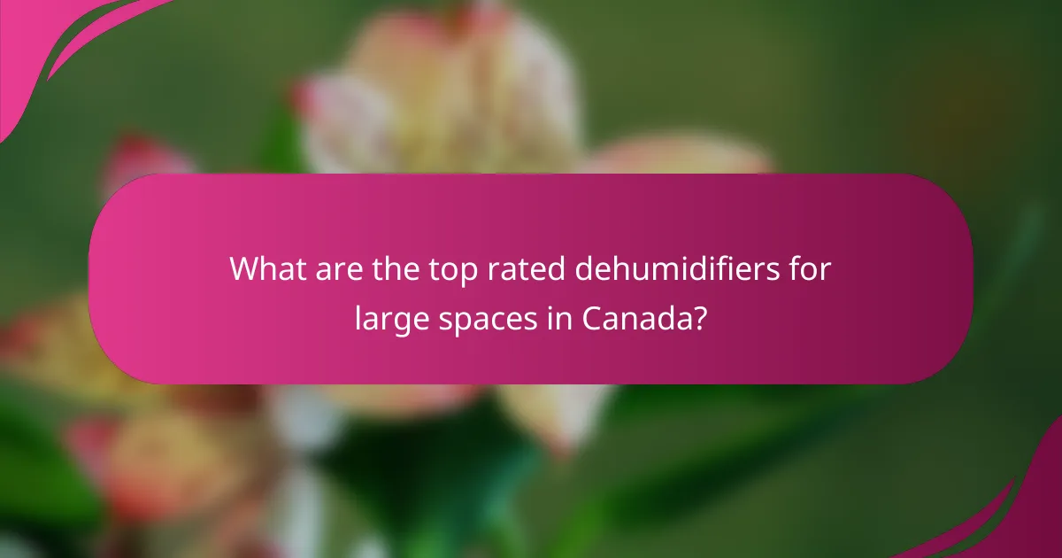What are the top rated dehumidifiers for large spaces in Canada?