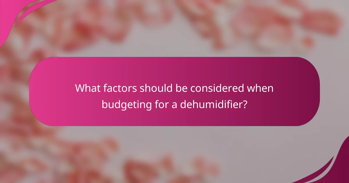 What factors should be considered when budgeting for a dehumidifier?
