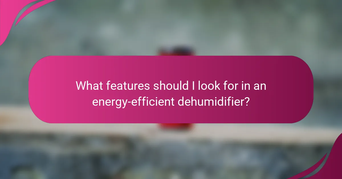 What features should I look for in an energy-efficient dehumidifier?