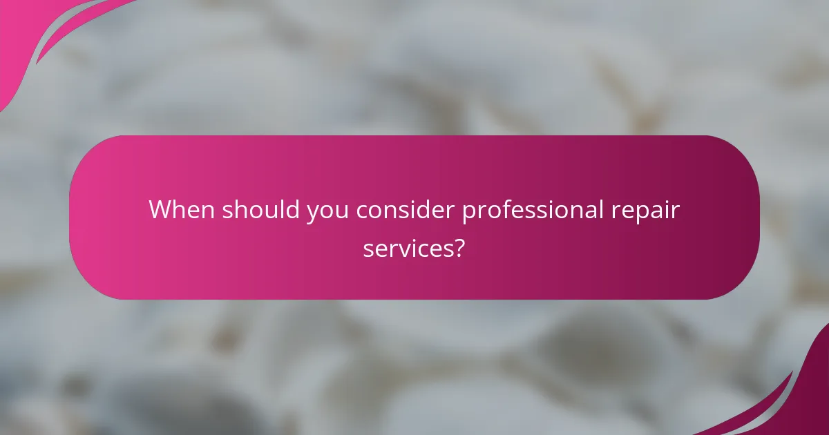When should you consider professional repair services?